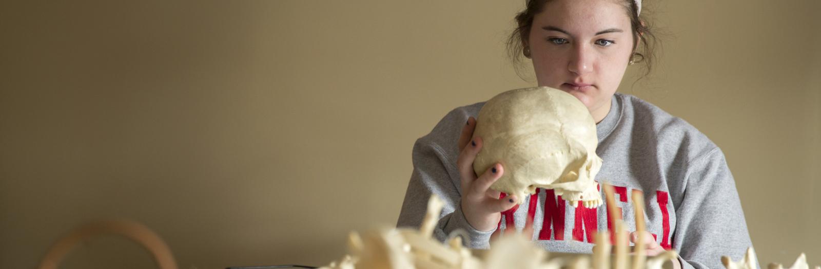 Student looks at human skull