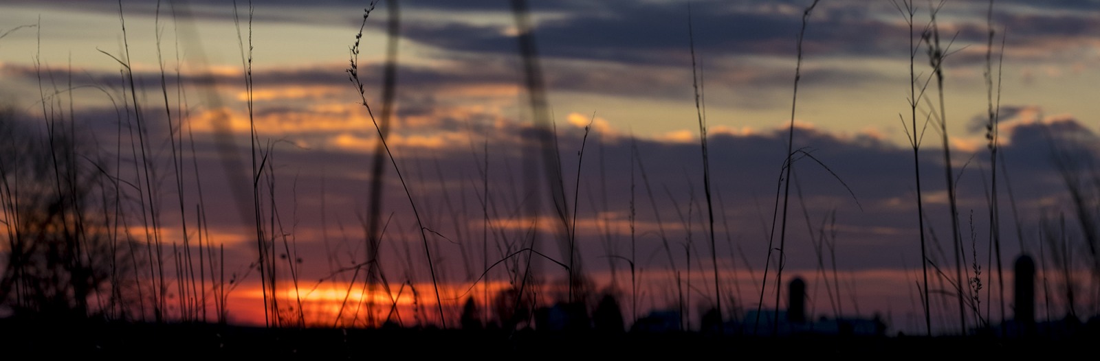 sunset at Conard Environmental Research Area (CERA)