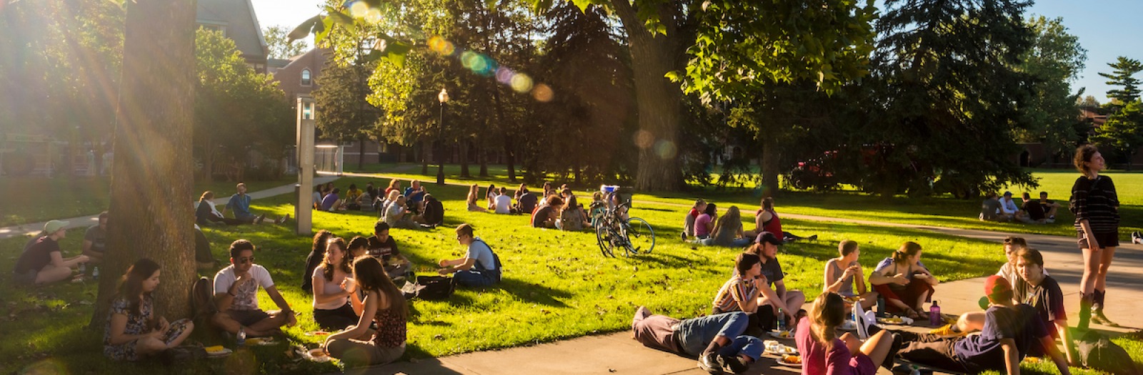 Students attending New Student Orientation campus picnic