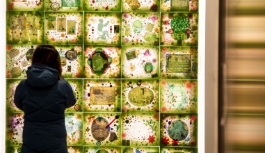 Student stands in front of art installation in HSSC