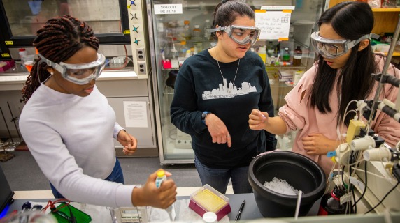 Students in a laboratory together.