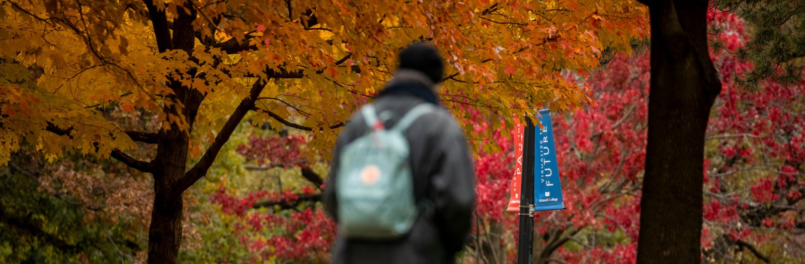 Students walk on campus with colorful fall leaves