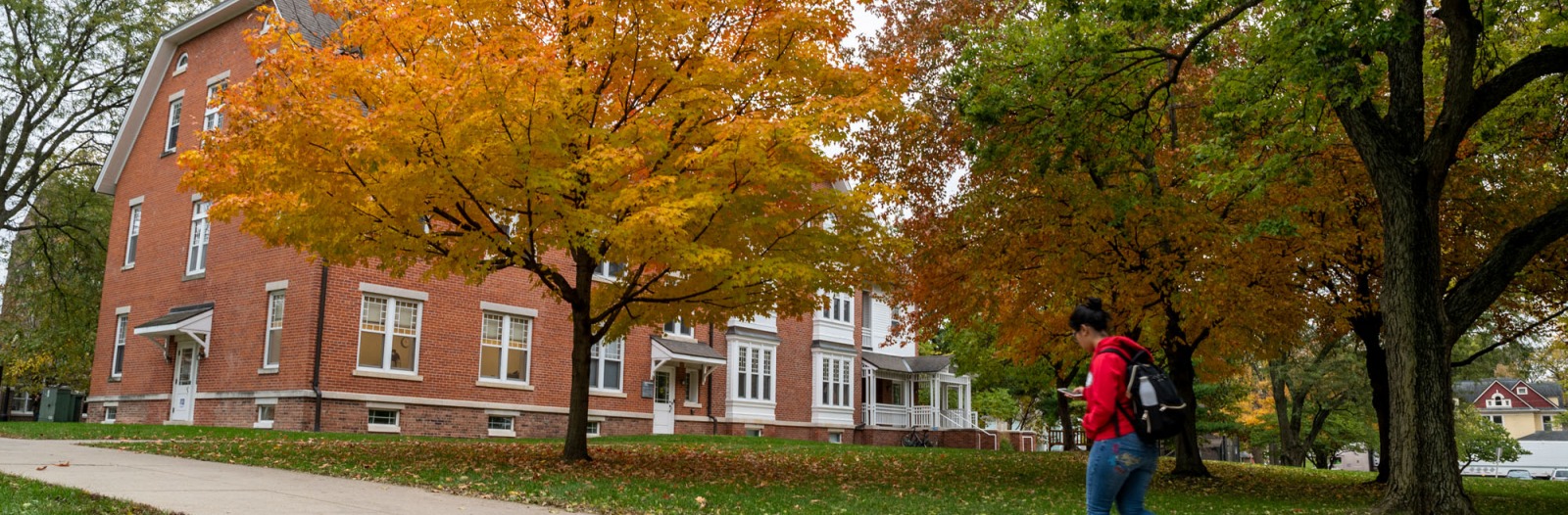 sidewalk and colorful trees on campus