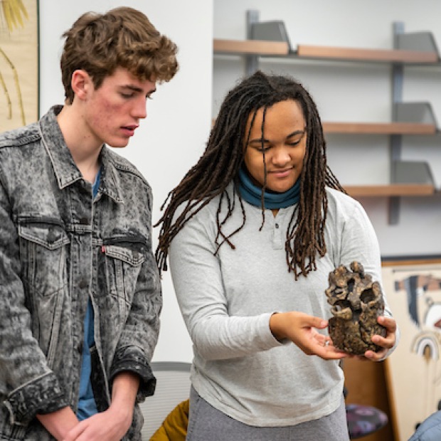 Two students study primate skull