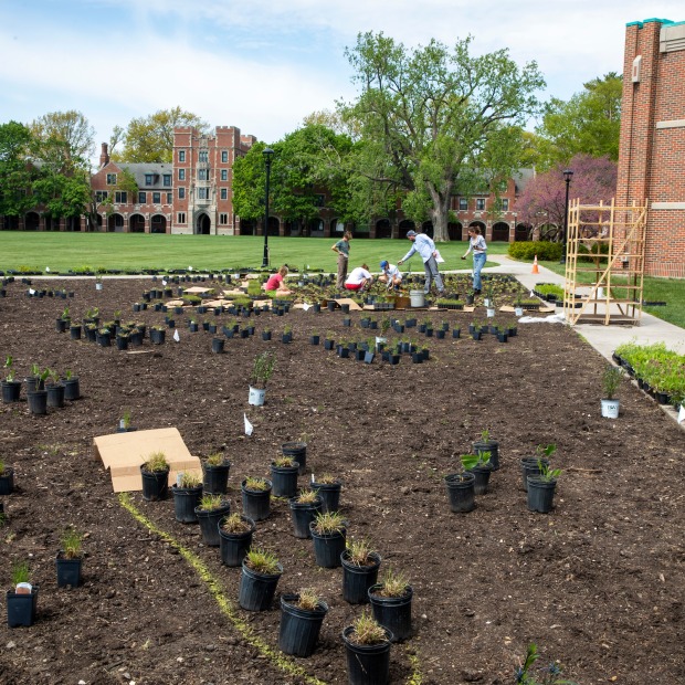 Prairie planting on Mac Field