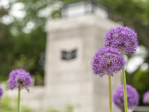 Grinnell College Homepage