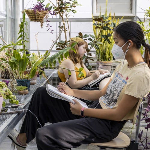 Two students sit between rows of plants in the greenhouse and sketch.