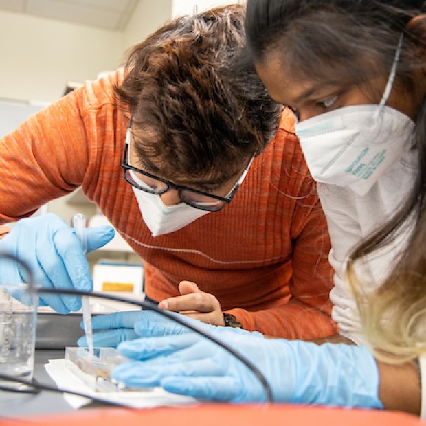 Two students perform neuroscience lab