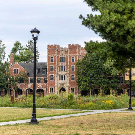 North campus in summer with prairie plantings in bloom