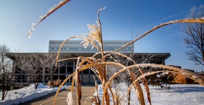 SO Snow-limned dry prairie grasses in the foreground with Burling Library visible behind