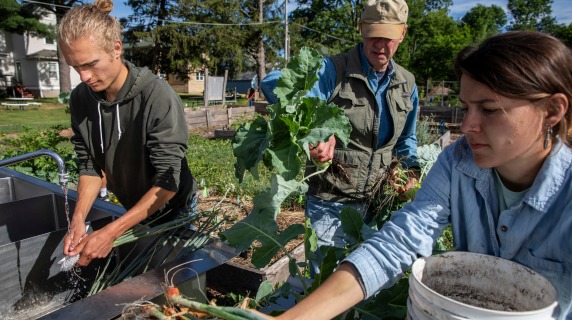 Washing onions out of Grinnell College garden