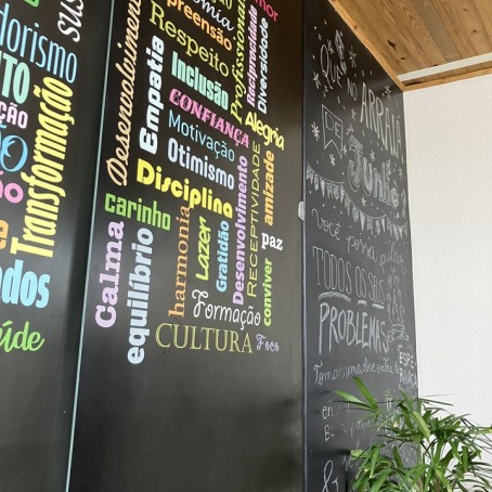 Marina Amorim Ananias