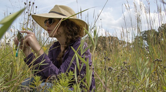 Taking measurements in Conard Environmental Research Area