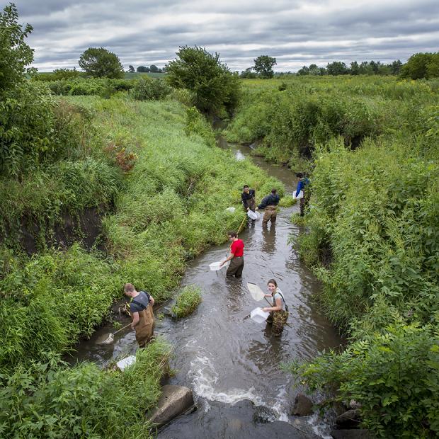 Students wade in creek