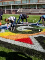 The Pride Flag is being painted on the football field.