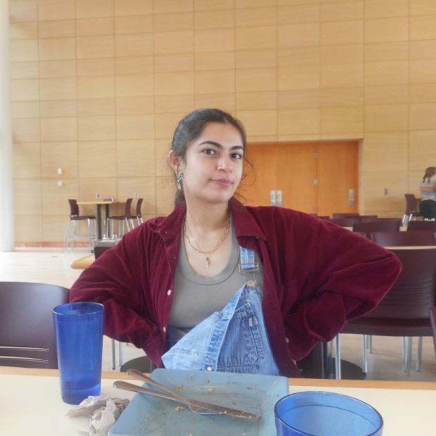 Darya Mohammadzadeh, president of 2024-25 Grinnell QuestBridge chapter