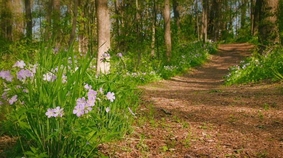 Jacob Krumm nature walking path