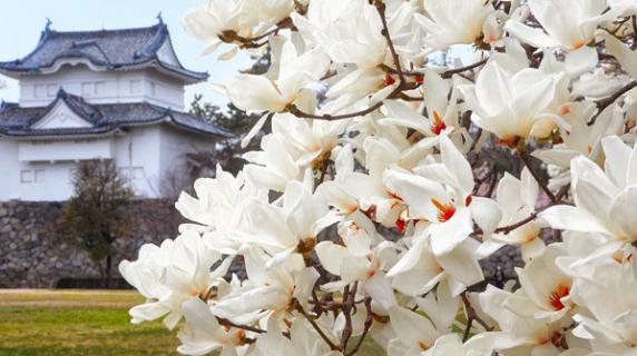 Building from Nanzan University in Japan