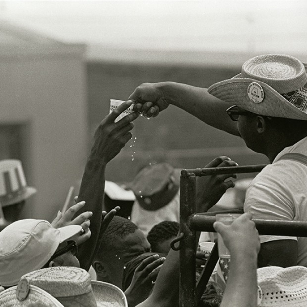 An image of a crowd in which one figure reaches up a hand to grab a cup of water from a man handing it down from a vehicle