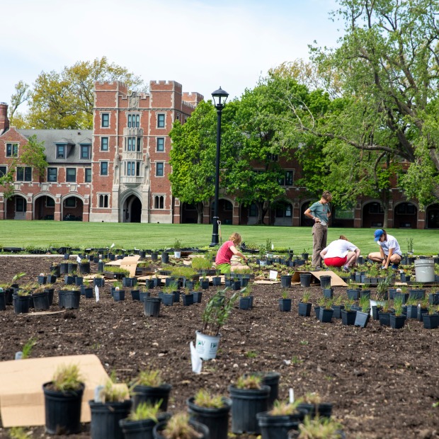 Students in prepared ground planting prairie flora on North Campus with Gates Rawson Tower in the background