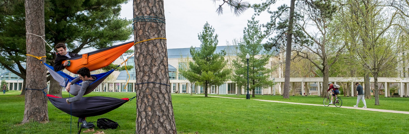 Students in hammocks stacked three high between two trees