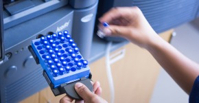 Student working with the spectro tray.