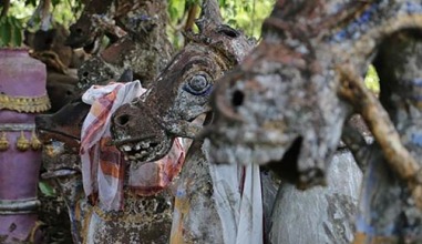 terrra cotta horses in south India