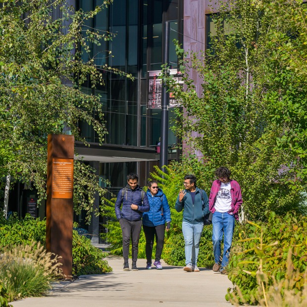 A group of friends going for a walk on campus.