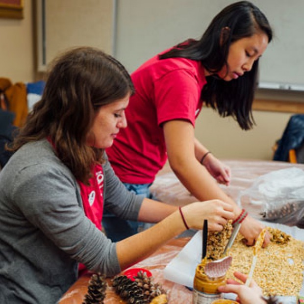 Two students make bird feeders out of pinecones