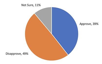 Pie chart shows 49% disapprove, 39% approve, 11% not sure of the job Trump has done in ensuring equal treatment for African Americans