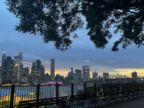 A black fence in front of a New York City skyline, made up of tall modern buildings.