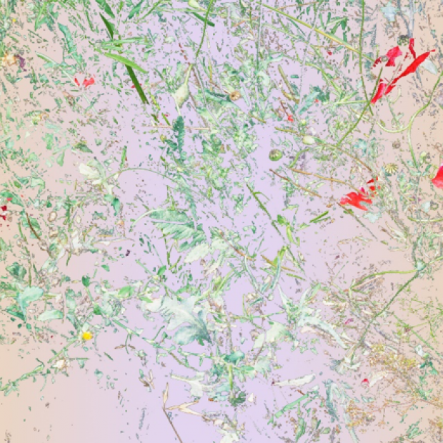 Print by Aaron Rothman