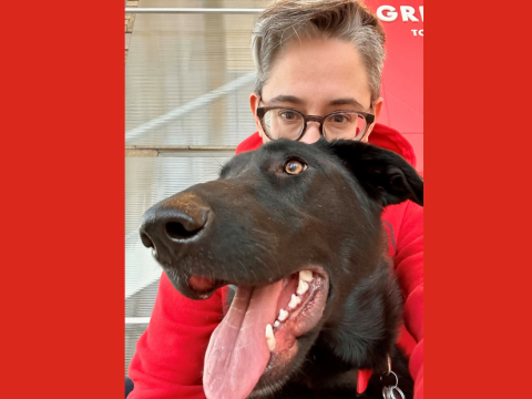 Grinnell College Homepage